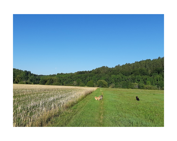 Im Herbst 2019 (1)